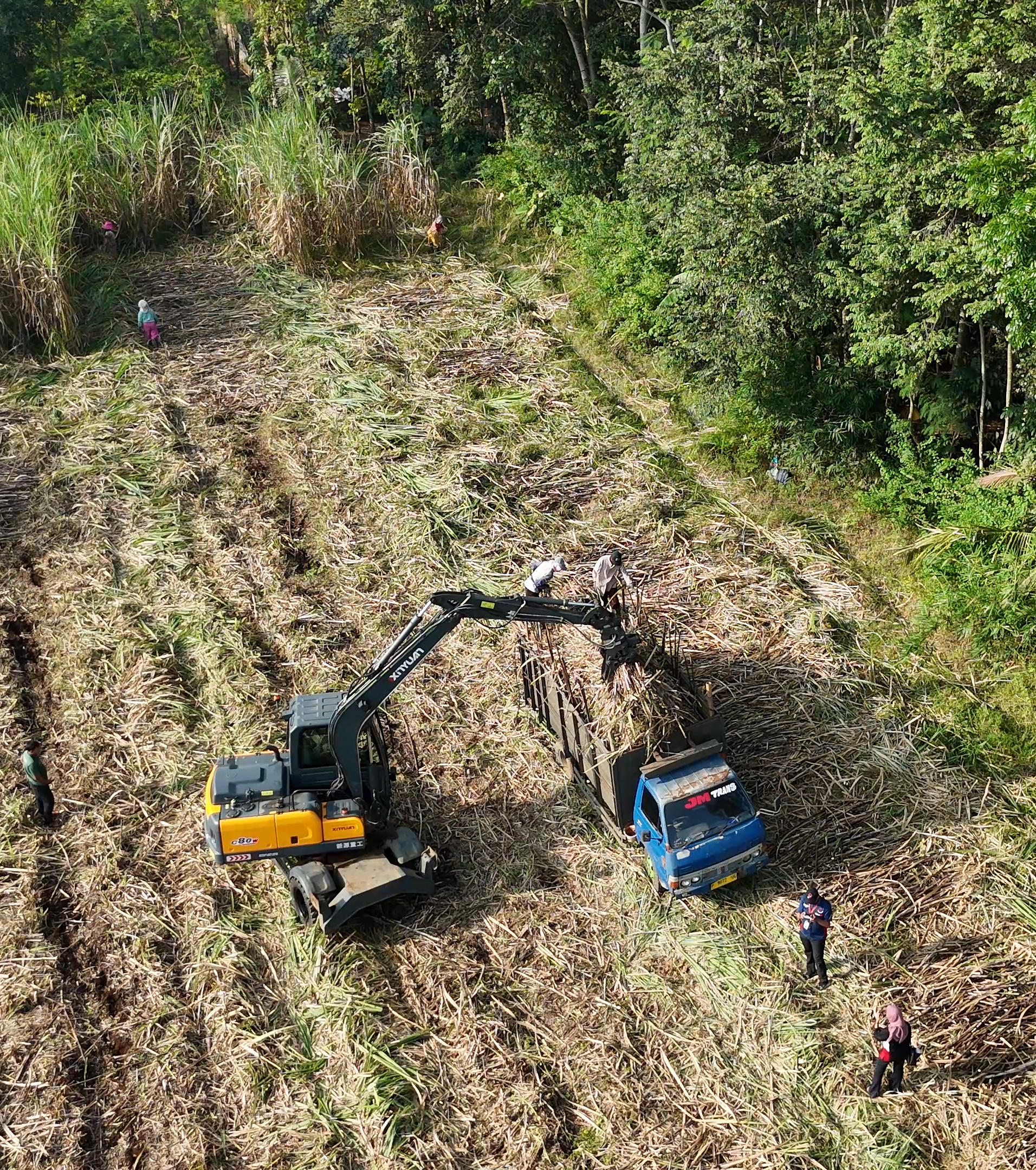Ini Cara Petani Tebu Meningkatkan Kecepatan Panen hingga 3x Lipat dengan Teknologi Alat Berat